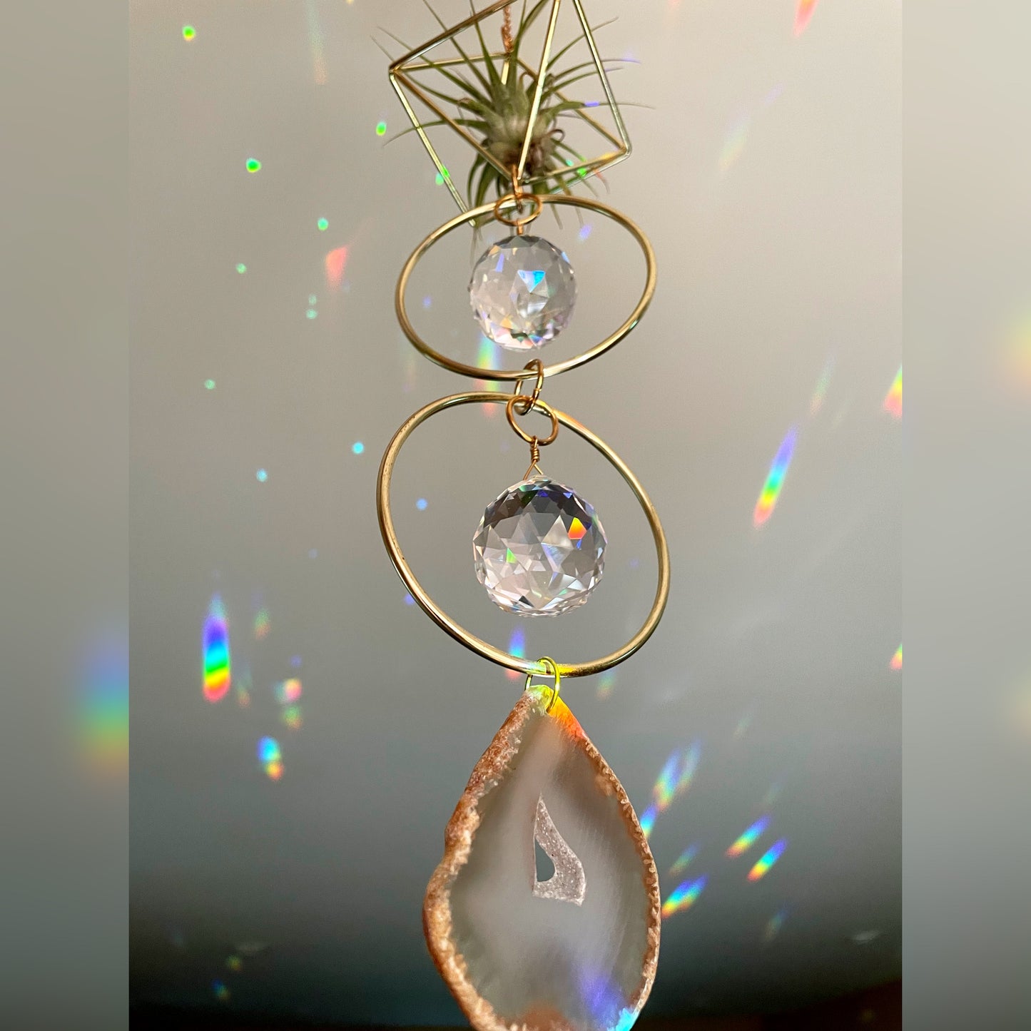 Double Crystal Air Plant Sun Catcher